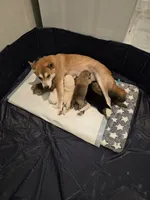 processed/a11bb651-bb18-45e4-9eba-69e69eebdf10/facility/76ef8020-a755-4bab-9816-6ddd2f64531c