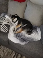 processed/a11bb651-bb18-45e4-9eba-69e69eebdf10/facility/a77b554d-d088-43f7-afb2-5c352d735f50