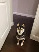 processed/a11bb651-bb18-45e4-9eba-69e69eebdf10/facility/b6f3e620-a498-4ba3-98ab-a182b55ecd2d