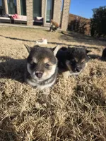 processed/a11bb651-bb18-45e4-9eba-69e69eebdf10/listing/25328715-5682-4ead-9d96-79732a62fa21/26fc18cc-343e-462d-a612-61110f983a04