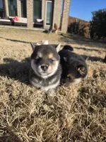 processed/a11bb651-bb18-45e4-9eba-69e69eebdf10/listing/25328715-5682-4ead-9d96-79732a62fa21/9a379bb5-cc72-414e-b89c-8485c7becab0