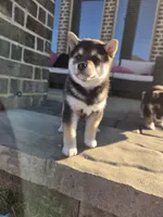 processed/a11bb651-bb18-45e4-9eba-69e69eebdf10/listing/25328715-5682-4ead-9d96-79732a62fa21/b0cbba5c-86dc-4895-97a4-4eeb5fd7b081