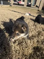 processed/a11bb651-bb18-45e4-9eba-69e69eebdf10/listing/25328715-5682-4ead-9d96-79732a62fa21/db01371f-9725-496f-9535-8a7c9d22a70e