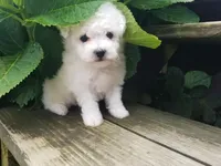 processed/a12756be-b677-480b-9932-d101273878d2/facility/0da0d102-31d0-47b0-a4a6-bb693324f9cf