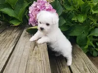 processed/a12756be-b677-480b-9932-d101273878d2/facility/51c7f431-0e33-4cd9-8043-d0fa7149ebcf