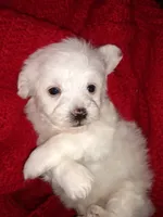 processed/a12756be-b677-480b-9932-d101273878d2/facility/72f2dc09-c576-4cb9-b0f8-fe62fb1335b7