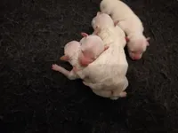 processed/a12756be-b677-480b-9932-d101273878d2/facility/aa22786d-96aa-45f5-8ba5-66fa212c0817