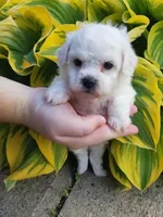 processed/a12756be-b677-480b-9932-d101273878d2/facility/b06029c2-8dc1-4460-bd92-4047d95ec258