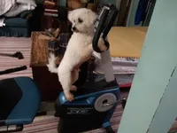 processed/a12756be-b677-480b-9932-d101273878d2/facility/ee8e8f5c-52bf-4e95-8a43-4c91fa27f1fd