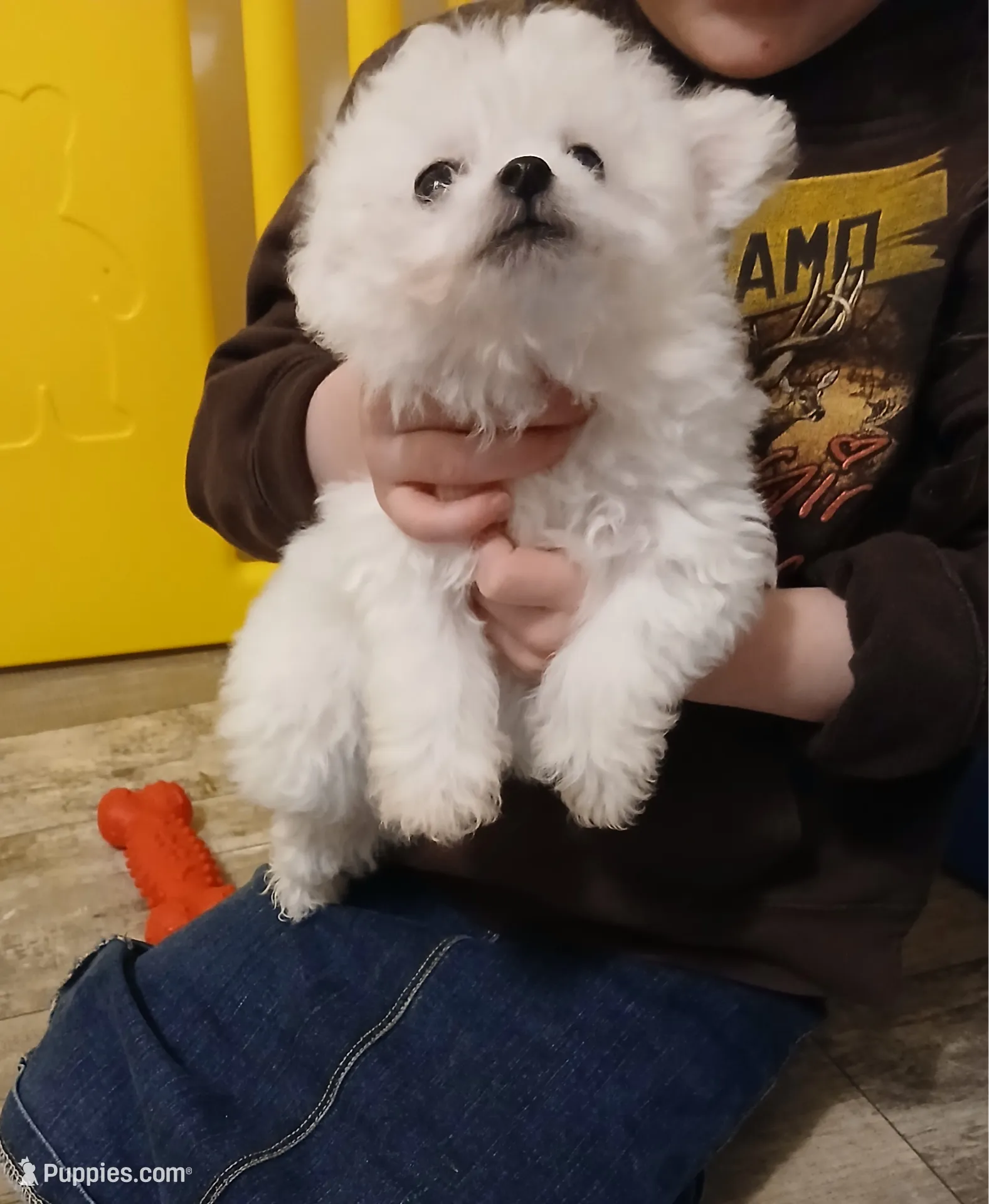 processed/a12756be-b677-480b-9932-d101273878d2/listing/3694bd18-ee16-46f4-bc3f-b066bc5d6ea7/07f0e12a-cfb4-4cc7-867e-edad85b57fb8