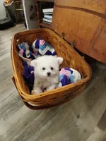 processed/a12756be-b677-480b-9932-d101273878d2/listing/3694bd18-ee16-46f4-bc3f-b066bc5d6ea7/0ae1c898-bac5-44fd-abea-93e20d95717e