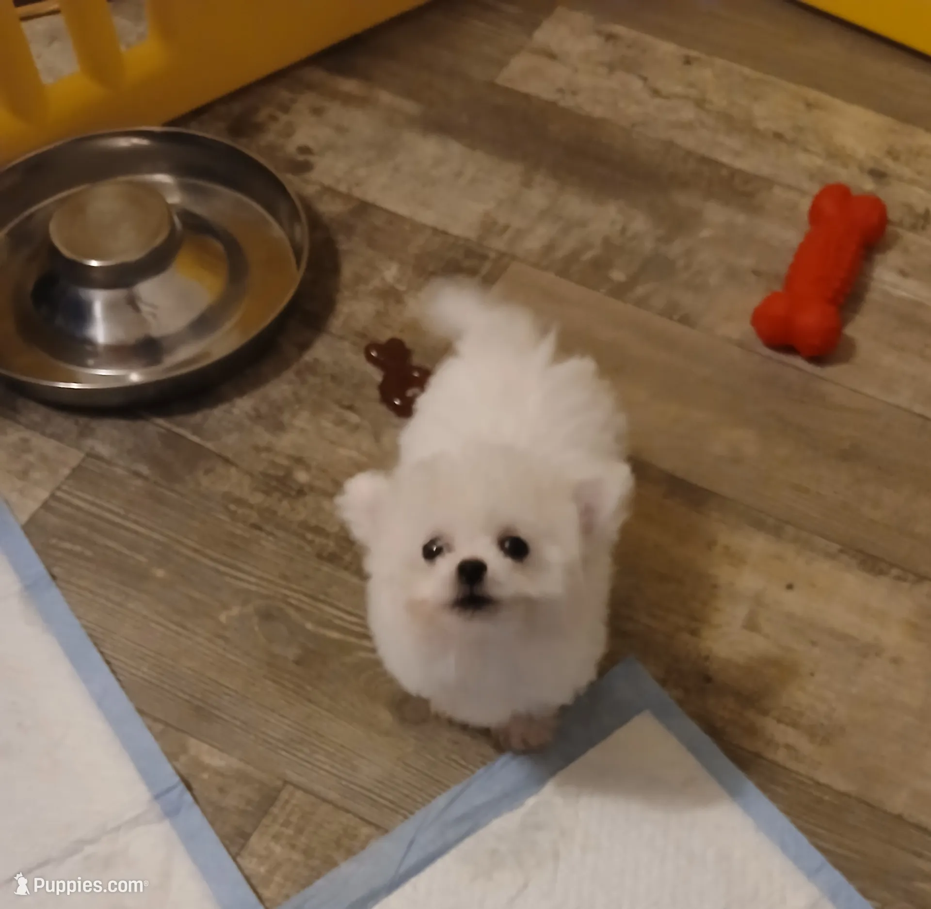 processed/a12756be-b677-480b-9932-d101273878d2/listing/3694bd18-ee16-46f4-bc3f-b066bc5d6ea7/349ec745-9ed5-4e22-8019-745f1931500a