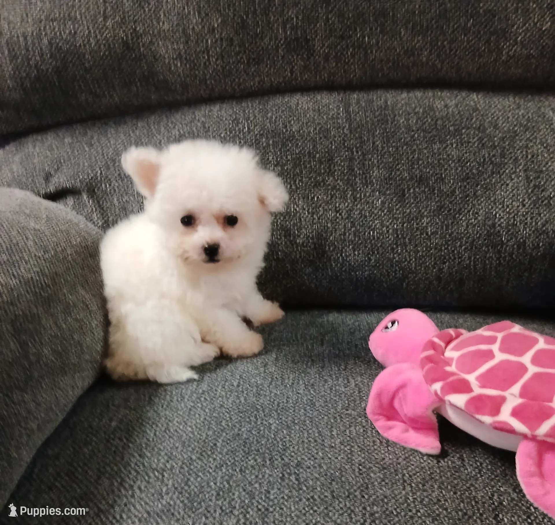 processed/a12756be-b677-480b-9932-d101273878d2/listing/3694bd18-ee16-46f4-bc3f-b066bc5d6ea7/ad801ae0-633e-4eb5-9b5d-92d9d3c7cba0