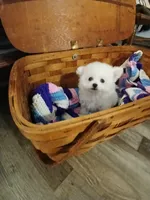 processed/a12756be-b677-480b-9932-d101273878d2/listing/3694bd18-ee16-46f4-bc3f-b066bc5d6ea7/da9642f0-4137-414c-bf77-7756896286b5