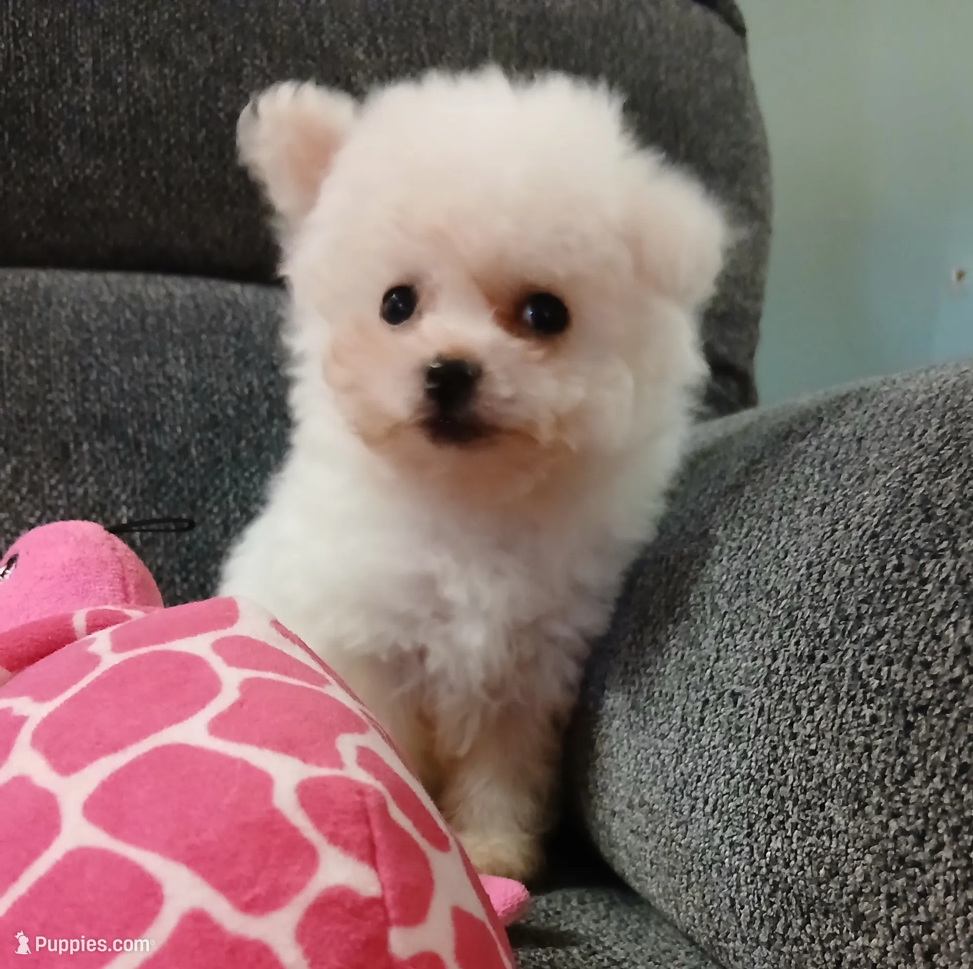 processed/a12756be-b677-480b-9932-d101273878d2/listing/3694bd18-ee16-46f4-bc3f-b066bc5d6ea7/e5d2304e-a05d-4669-980d-f858694e96e2