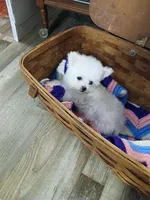 processed/a12756be-b677-480b-9932-d101273878d2/listing/9afc935e-351a-402d-9b74-681f1b9fb5b4/707089e7-2ec6-4e2e-b027-d2c9e3b2a6b1