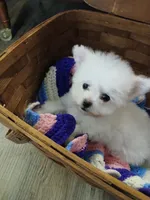 processed/a12756be-b677-480b-9932-d101273878d2/listing/9afc935e-351a-402d-9b74-681f1b9fb5b4/a38d19d0-8713-4483-a693-1ef8bc14c51a