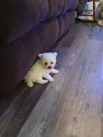 processed/a12756be-b677-480b-9932-d101273878d2/listing/9afc935e-351a-402d-9b74-681f1b9fb5b4/b5340ed7-acad-4b54-9995-318539de9ea9