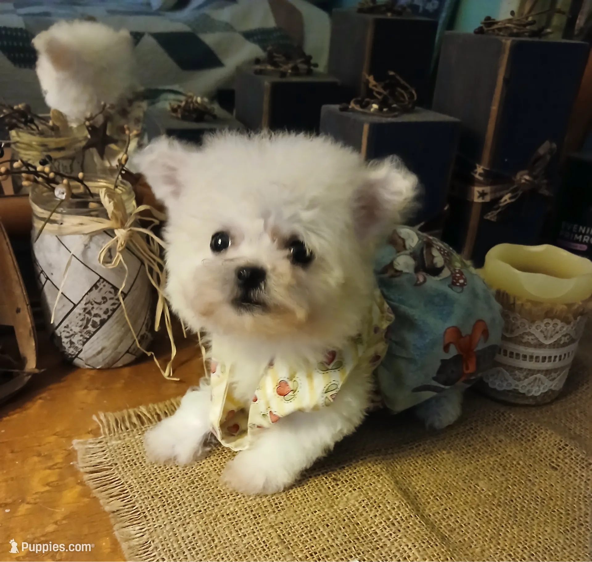 processed/a12756be-b677-480b-9932-d101273878d2/listing/9afc935e-351a-402d-9b74-681f1b9fb5b4/cc3c632d-86c3-4753-a821-5a84f9b11a3e