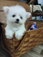 processed/a12756be-b677-480b-9932-d101273878d2/listing/9afc935e-351a-402d-9b74-681f1b9fb5b4/de29edad-2c60-4022-a098-ad2332658b23