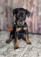 processed/a12f021d-9f0c-48f0-a84c-d62b462cabe6/listing/2ce79b7d-b8df-4d09-9d80-7ec1c2e57c9c/18c6a09a-a26e-492b-ae5f-cdfc197040cf