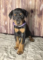 processed/a12f021d-9f0c-48f0-a84c-d62b462cabe6/listing/7b948cd5-5d93-446f-a9f0-8a67560ddda7/a5986066-d09e-43a6-be3d-8daea8d1aeac