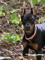 processed/a12f021d-9f0c-48f0-a84c-d62b462cabe6/listing/7e6595d3-4828-4153-8c73-4c90187e366c/10778ccf-888c-4fe7-8f46-61e957dbced4