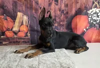 processed/a12f021d-9f0c-48f0-a84c-d62b462cabe6/listing/7e6595d3-4828-4153-8c73-4c90187e366c/3d0b45b3-3259-47ff-8eea-535d32a38a70