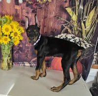 processed/a12f021d-9f0c-48f0-a84c-d62b462cabe6/listing/7e6595d3-4828-4153-8c73-4c90187e366c/879cd144-2c39-4420-88e4-002ef8420564