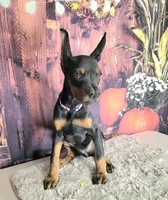 processed/a12f021d-9f0c-48f0-a84c-d62b462cabe6/listing/7e6595d3-4828-4153-8c73-4c90187e366c/b67d9e7e-d25f-4daa-812d-24025e234b29