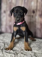 processed/a12f021d-9f0c-48f0-a84c-d62b462cabe6/listing/a3d41a61-81e8-4ff6-af49-fc2c6c066dc0/6c4f3892-635e-4aea-9c10-601f377c3194