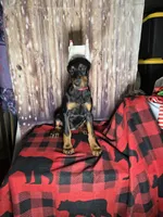 processed/a12f021d-9f0c-48f0-a84c-d62b462cabe6/listing/aee5b872-2705-4b48-8f8b-eef8c44067a2/8f48c7db-db08-48a3-ad36-9f8b59a6d374