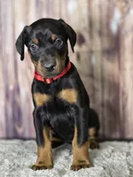 processed/a12f021d-9f0c-48f0-a84c-d62b462cabe6/listing/aee5b872-2705-4b48-8f8b-eef8c44067a2/e97a3afa-aaf5-48b5-8704-2d6d913211a1