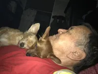 processed/a130c95f-68c0-4fe5-bb0a-a93f962b7447/facility/26780a73-bfcc-4cfe-bd95-defd9a378708