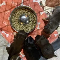 processed/a130c95f-68c0-4fe5-bb0a-a93f962b7447/facility/5663f2eb-e4b8-4a4f-90eb-971be9ec8cec