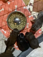 processed/a130c95f-68c0-4fe5-bb0a-a93f962b7447/facility/5663f2eb-e4b8-4a4f-90eb-971be9ec8cec