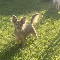 processed/a130c95f-68c0-4fe5-bb0a-a93f962b7447/facility/65838a86-b1bb-483f-9de6-4b3ae22f7f88