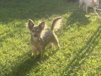 processed/a130c95f-68c0-4fe5-bb0a-a93f962b7447/facility/65838a86-b1bb-483f-9de6-4b3ae22f7f88