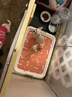 processed/a130c95f-68c0-4fe5-bb0a-a93f962b7447/facility/e4fc9e7c-8835-4e1c-9e09-48c5062b7548