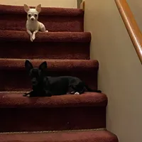 processed/a130c95f-68c0-4fe5-bb0a-a93f962b7447/facility/e93a760b-d18d-4b43-9df5-31bbe8a63f57