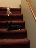 processed/a130c95f-68c0-4fe5-bb0a-a93f962b7447/facility/e93a760b-d18d-4b43-9df5-31bbe8a63f57