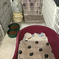 processed/a130c95f-68c0-4fe5-bb0a-a93f962b7447/facility/f1735e32-3a10-4c0b-88c6-b98132781d85