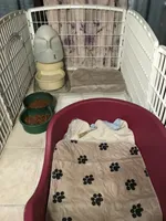 processed/a130c95f-68c0-4fe5-bb0a-a93f962b7447/facility/f1735e32-3a10-4c0b-88c6-b98132781d85