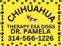 Izzie / ESA Therapy dig, a female Chihuahua and Yorkshire Terrier for sale in Findlay, OH – 7 of 9