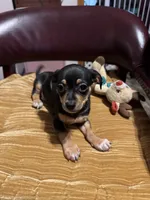 processed/a130c95f-68c0-4fe5-bb0a-a93f962b7447/listing/481ff6b0-fc0e-41c6-83db-f698b501bea7/04fb2931-5dd1-4e7a-aa30-0caf0a3662cd