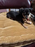 processed/a130c95f-68c0-4fe5-bb0a-a93f962b7447/listing/481ff6b0-fc0e-41c6-83db-f698b501bea7/81f0394a-b056-441f-b482-b1c40497c44a