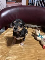 processed/a130c95f-68c0-4fe5-bb0a-a93f962b7447/listing/481ff6b0-fc0e-41c6-83db-f698b501bea7/925caf83-5d0b-4acb-b9bd-3ddd65928a74