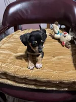 processed/a130c95f-68c0-4fe5-bb0a-a93f962b7447/listing/481ff6b0-fc0e-41c6-83db-f698b501bea7/a5f293df-b159-404e-9033-7466a704e768