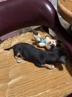 processed/a130c95f-68c0-4fe5-bb0a-a93f962b7447/listing/481ff6b0-fc0e-41c6-83db-f698b501bea7/d24112ff-fe0a-48eb-99b9-e9f1a9bbc9e1