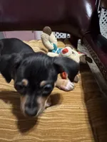 processed/a130c95f-68c0-4fe5-bb0a-a93f962b7447/listing/481ff6b0-fc0e-41c6-83db-f698b501bea7/d9d0ffbe-c201-4072-881d-24299b78e903